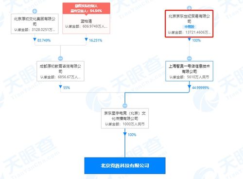 京東關(guān)聯(lián)電競公司全資收購北京霓旌科技，強(qiáng)化電競生態(tài)布局